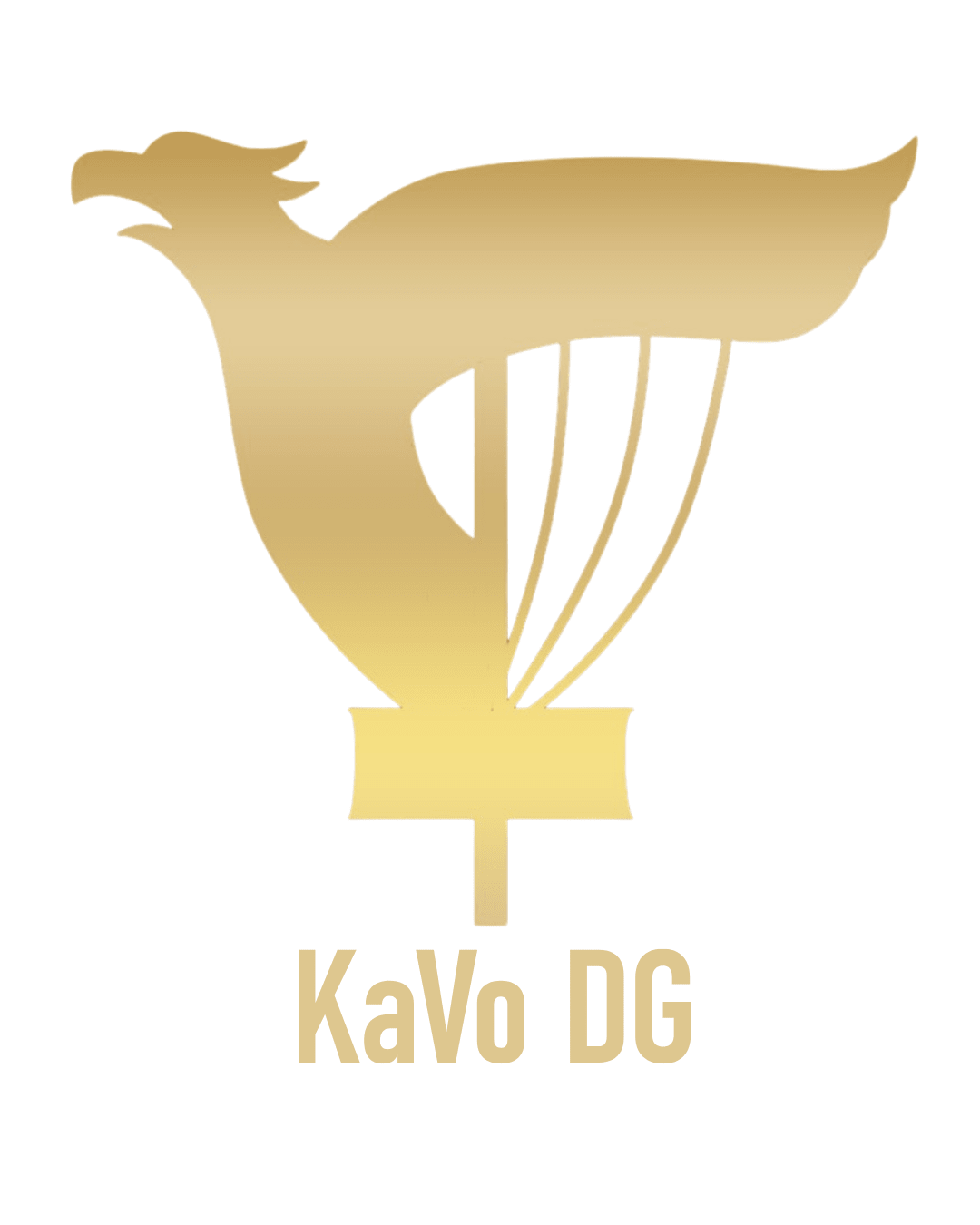 KAVO DG - Aquaction.fi