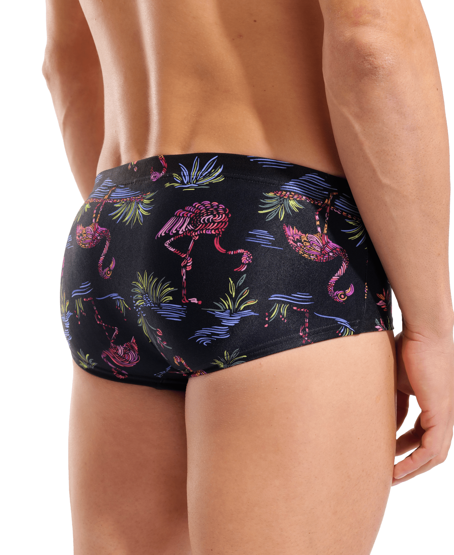 Arena Flamingo Swim Low Waist Short miesten uimahousut, mustaArena